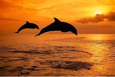 《最终幻想7：重生》与原版新对比图 画面更美让人难忘